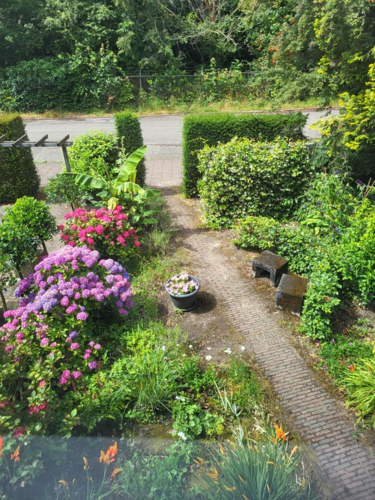 My-A-Mi-Go-S Bed & Breakfast Muiderberg Dış mekan fotoğraf